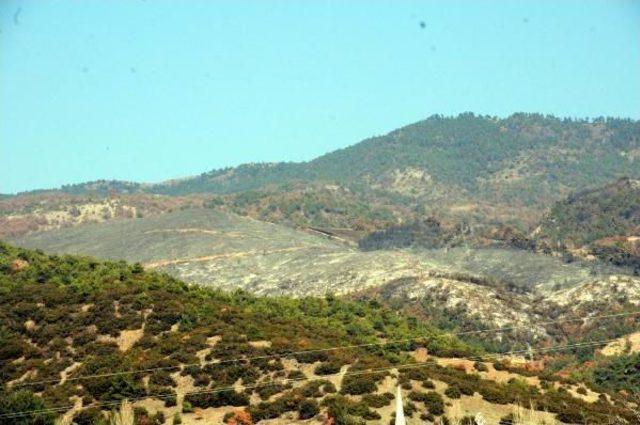 Tokat’Taki Orman Yangını Söndürüldü