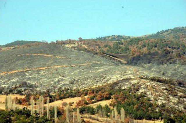 Tokat’Taki Orman Yangını Söndürüldü