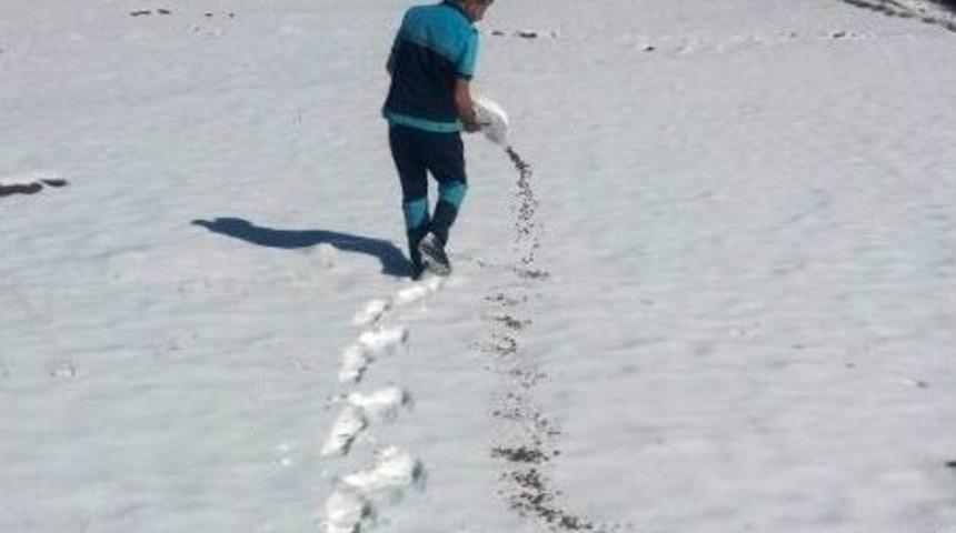 B&uuml;y&uuml;kşehir Yaban Hayatını Koruyor