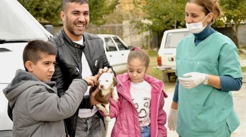 B&uuml;y&uuml;kşehir, 10 Ayda Bin 51 Sokak K&ouml;peğine Yuva Buldu