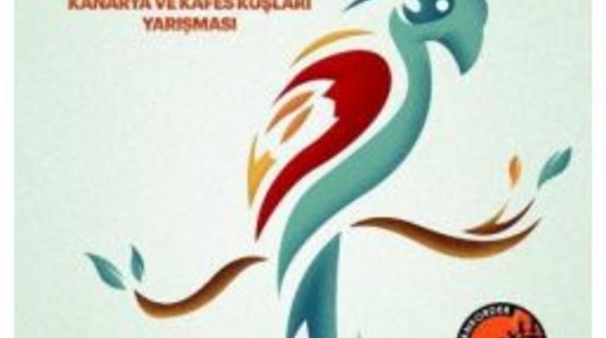 5 Bin Kanarya Yarışacak