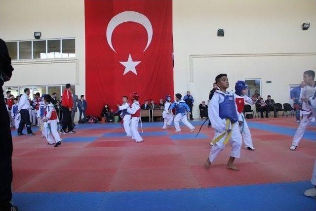 Kayseri Emniyet Müdürlüğü Bölgesel Taekwondo Şampiyonası Düzenledi