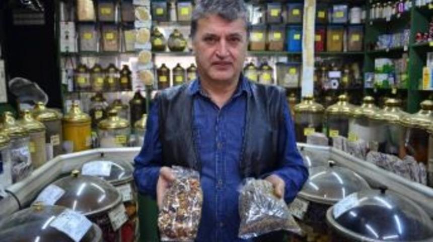 Ani Yaşanan Sıcaklık Değişiklerine Karşı Bitki Karşımı