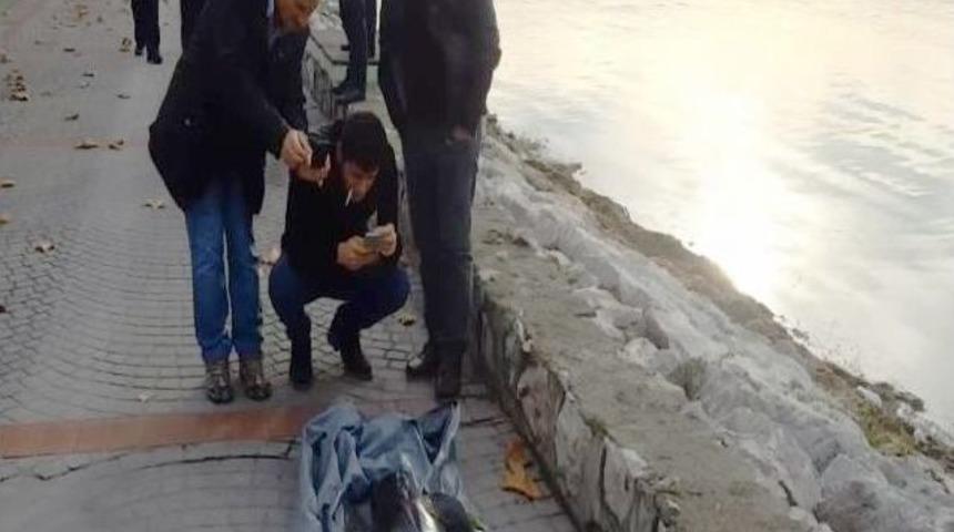 İzmit&rsquo;te &Ouml;l&uuml; Yunus Karaya Vurdu