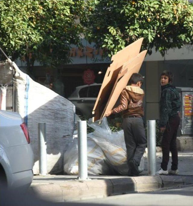 Ekmeği Çöpten Kazananlar