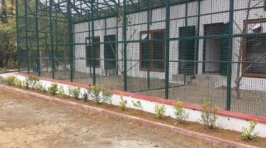 İzmit Belediyesi Tarafından Cephanelik Mesire Alanına Kuş Kafesi Yapıldı