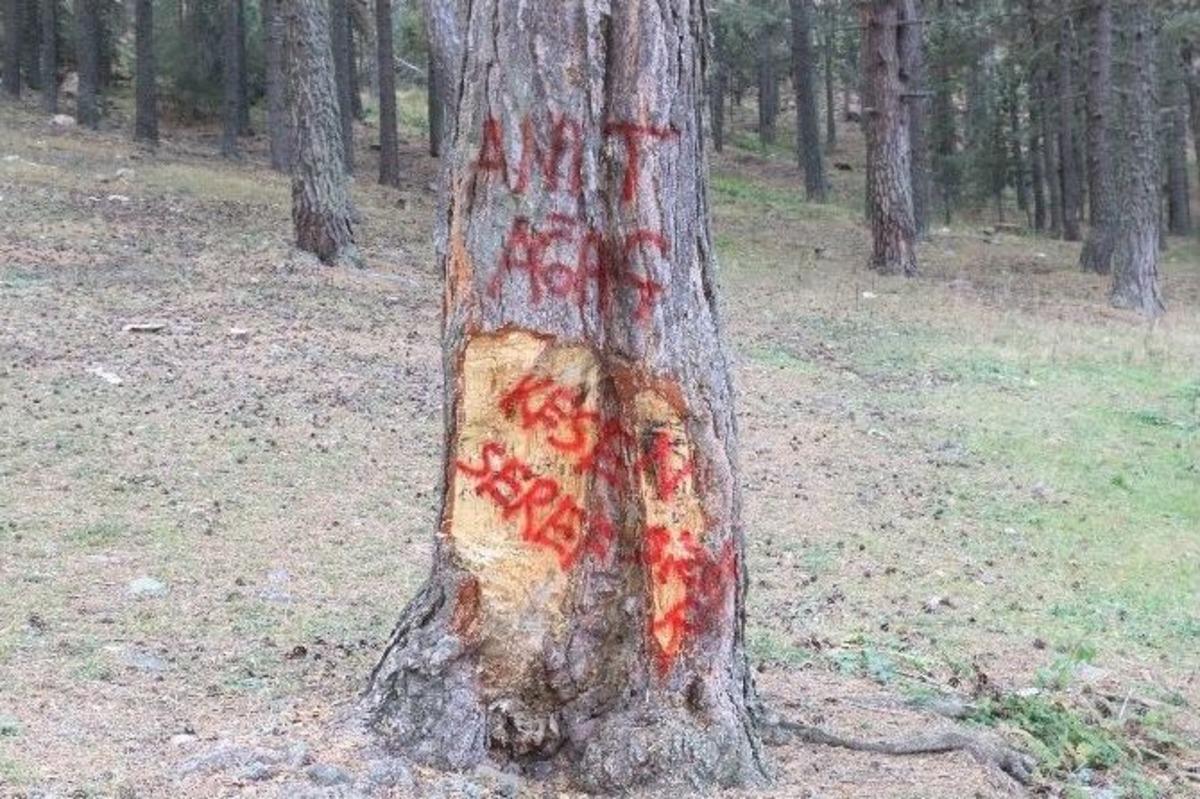 Ağaca Zarar Verenlere İlgin&ccedil; Tepkiler