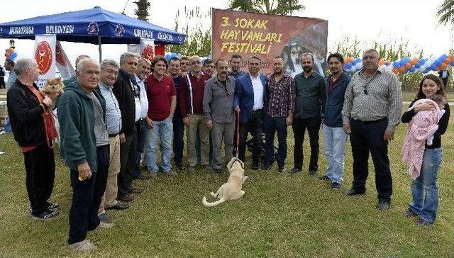 Muratpaşa’da Sokak Hayvanları Festivali Düzenlendi