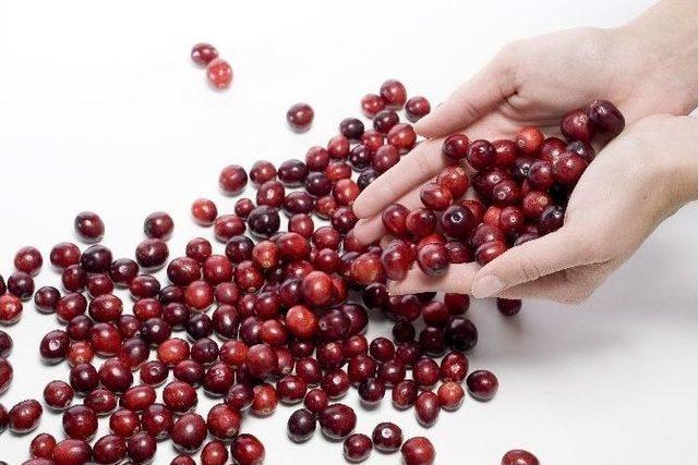 Kırmızı Hazine: Cranberry 1