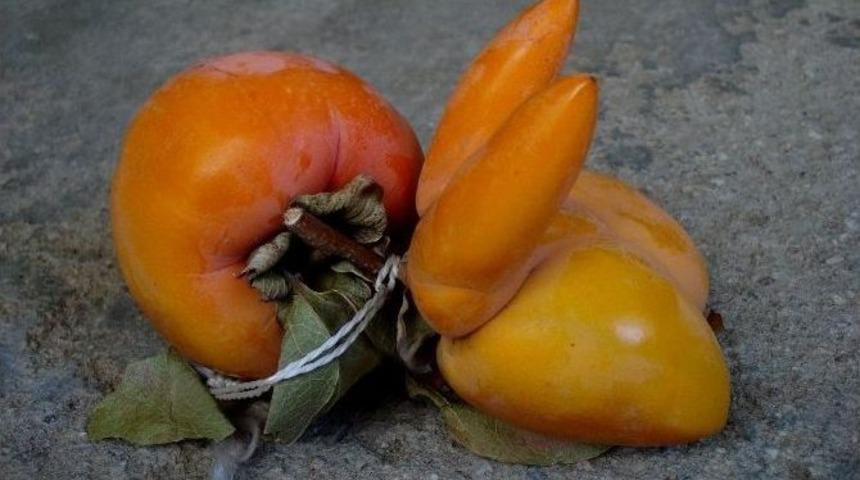 Cennet Elması G&ouml;r&uuml;nt&uuml;s&uuml;yle Şaşırttı