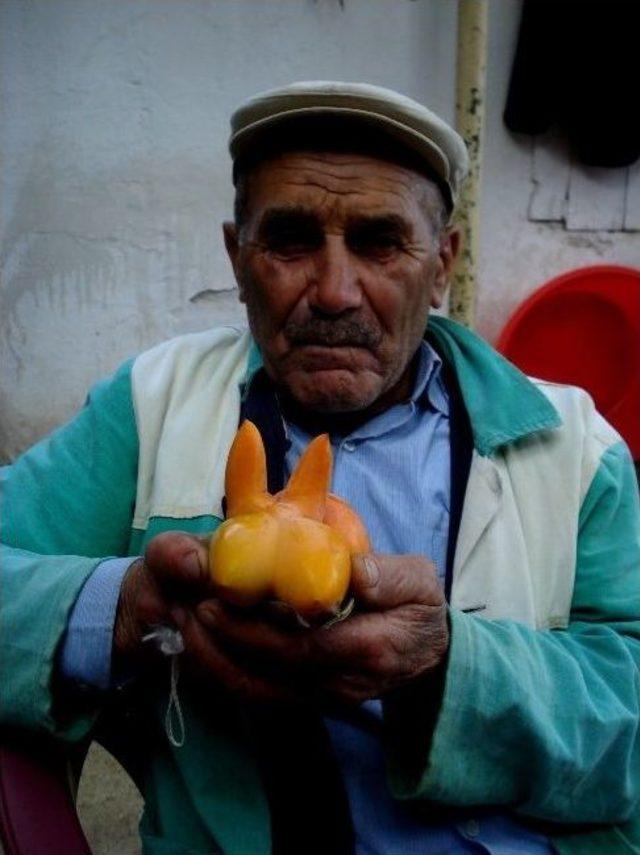 Cennet Elması Görüntüsüyle Şaşırttı