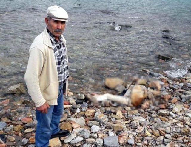 Şenlik I&ccedil;in Gittikleri Karaada da Erkek Cesedi Buldular 1