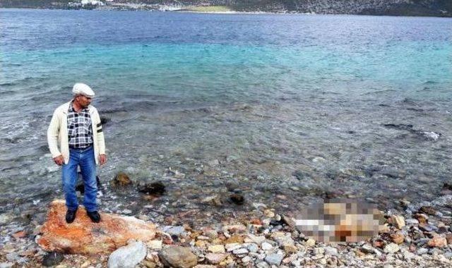 Şenlik I&ccedil;in Gittikleri Karaada da Erkek Cesedi Buldular 3