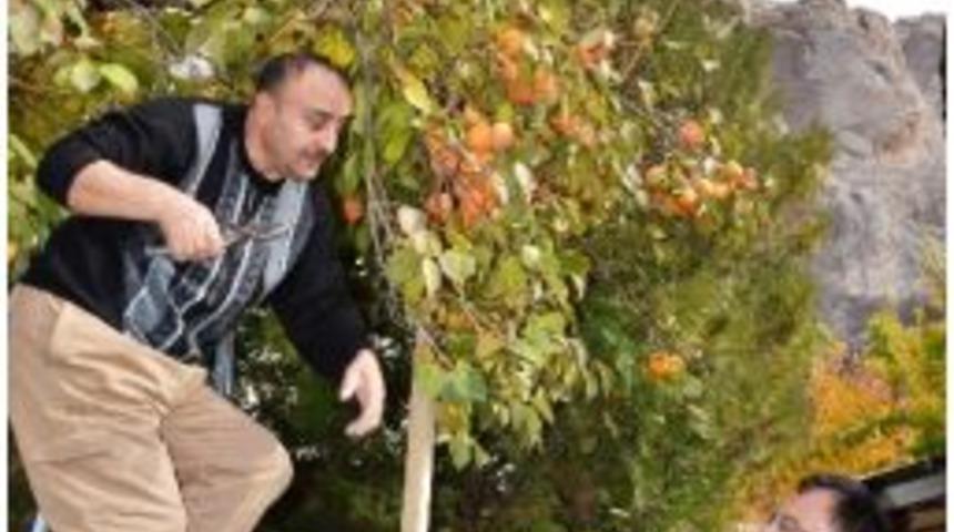 Darendeliler Trabzon Hurmasını Sevdi