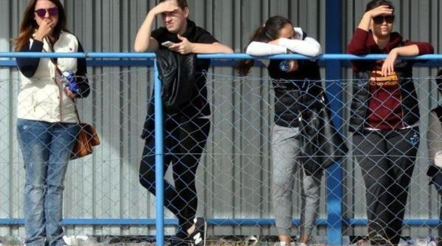 Daylaklar Bodrum'da G&uuml;reşti