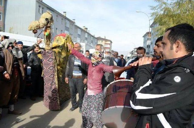 Gelini Deve Oynatarak Evden Çıkardılar