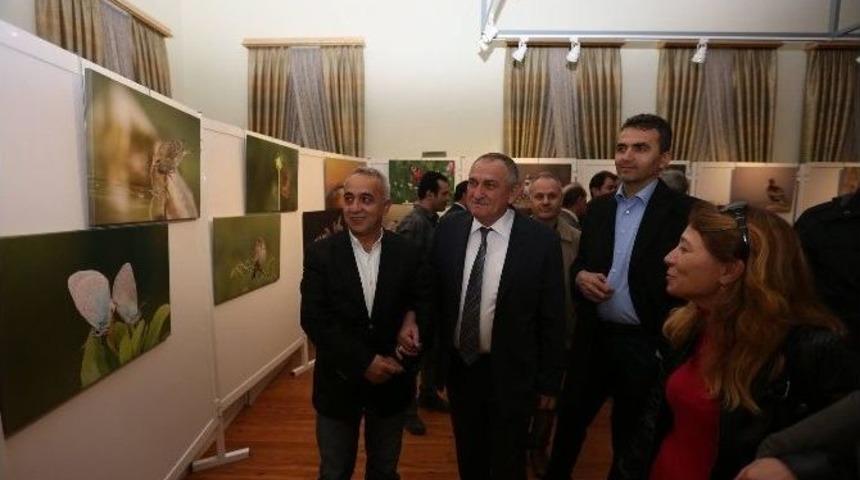Başkan Yılmaz Kuşlar Ve Kelebekler Sergisinin A&ccedil;ılışını Yaptı