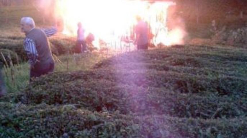 &Ccedil;amlıhemşin&rsquo;de &Ccedil;ıkan Yangın Arıları Telef Etti