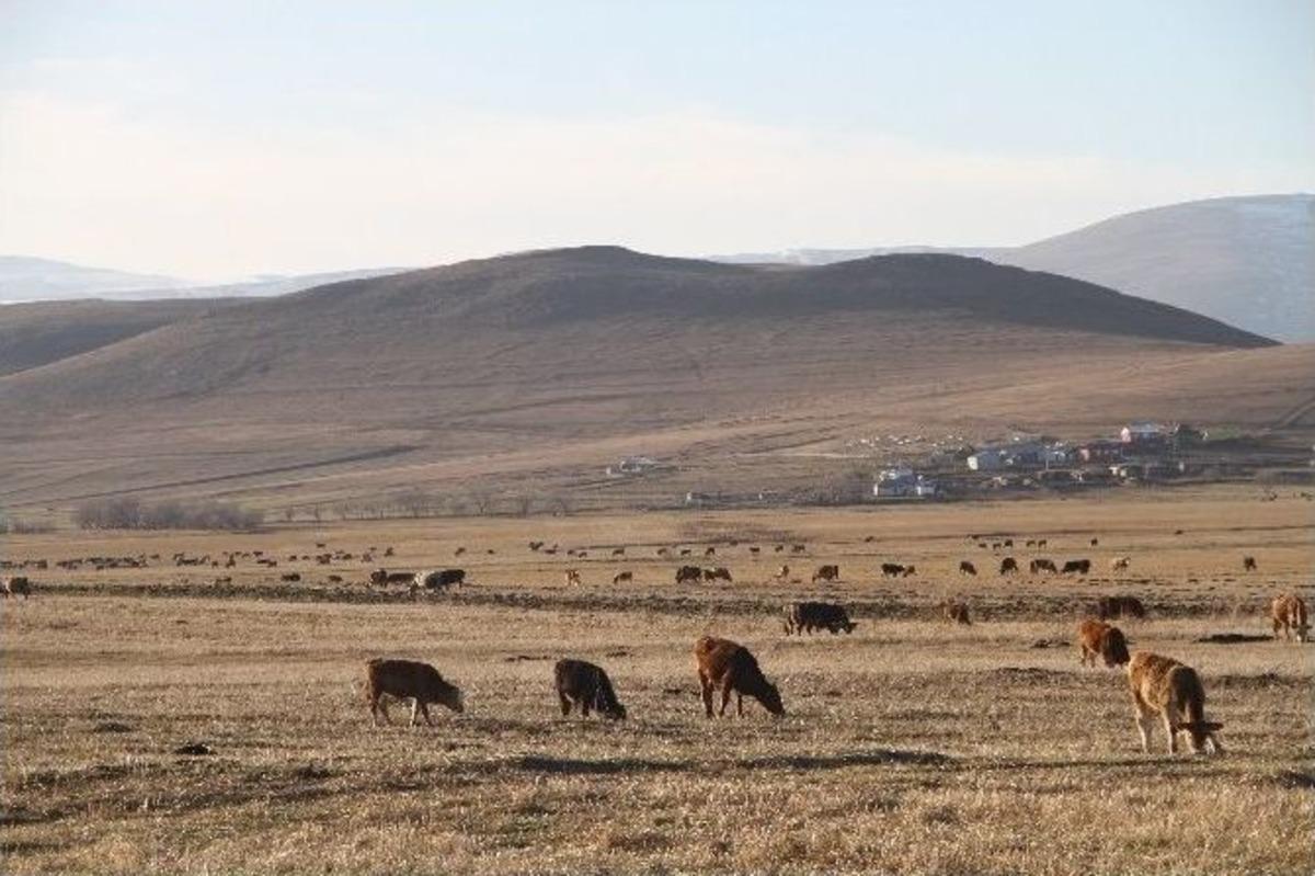 Sıcak Hava İnşaat&ccedil;ılara Ve &Ccedil;ift&ccedil;ilere Yaradı
