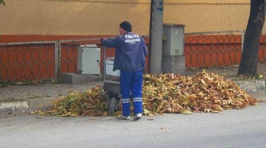 Tosya&rsquo;da &Ccedil;&ouml;p&ccedil;&uuml;ler Yaprak Temizliği İle M&uuml;cadele Ediyor