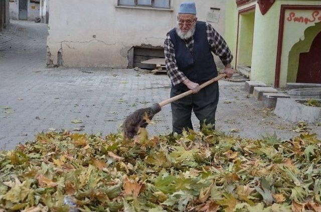 Tosya’da Çöpçüler Yaprak Temizliği İle Mücadele Ediyor