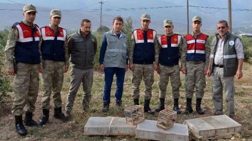 Ka&ccedil;ak Avcılara Ceza Yağdı