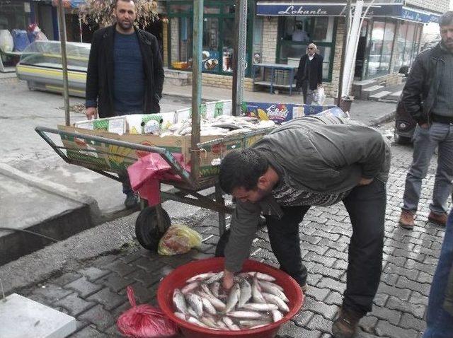 Varto’da Balıkçılar Sezonu Açtı