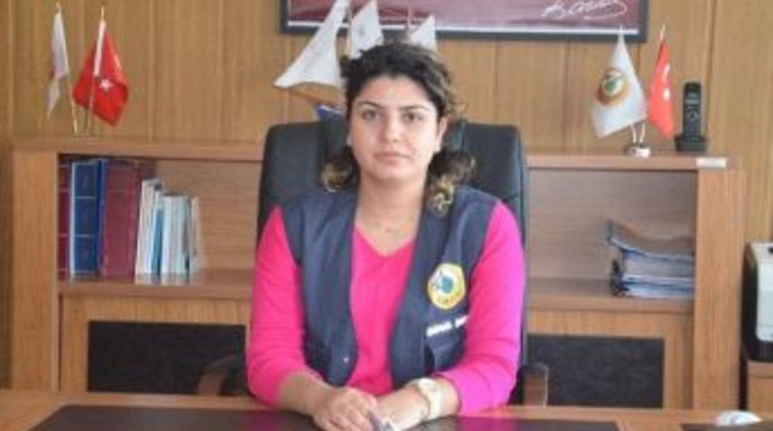 Fatsa&rsquo;da Orman Yollarındaki Tahribat Giderildi