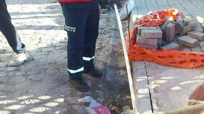 Kuyuya D&uuml;şen K&ouml;pek Kurtarıldı