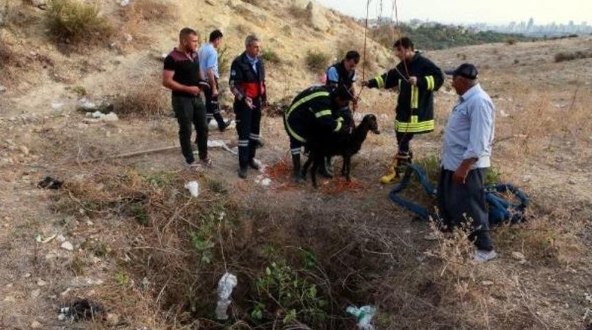 İtfaiye, Kuyuya D&uuml;şen Koyun Ve Ke&ccedil;iyi &Ccedil;ıkarttı
