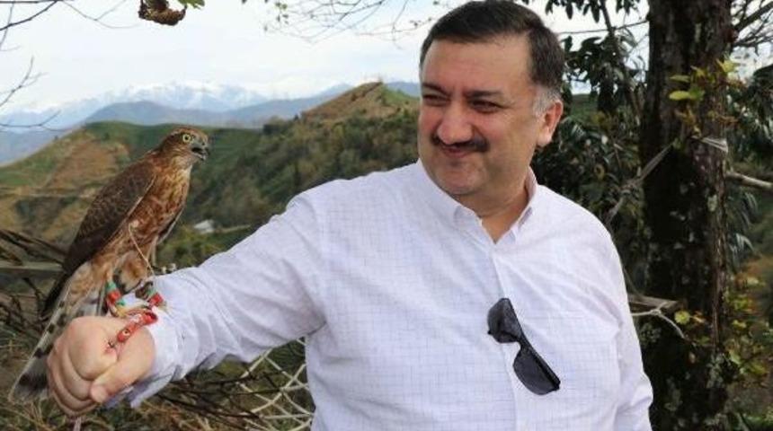 Atmacalar Doğal Yaşama Bırakıldı