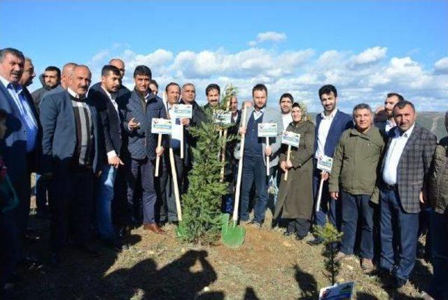 Dilovası'nda 15 Temmuz Şehitleri Anısına Fidan Dikildi