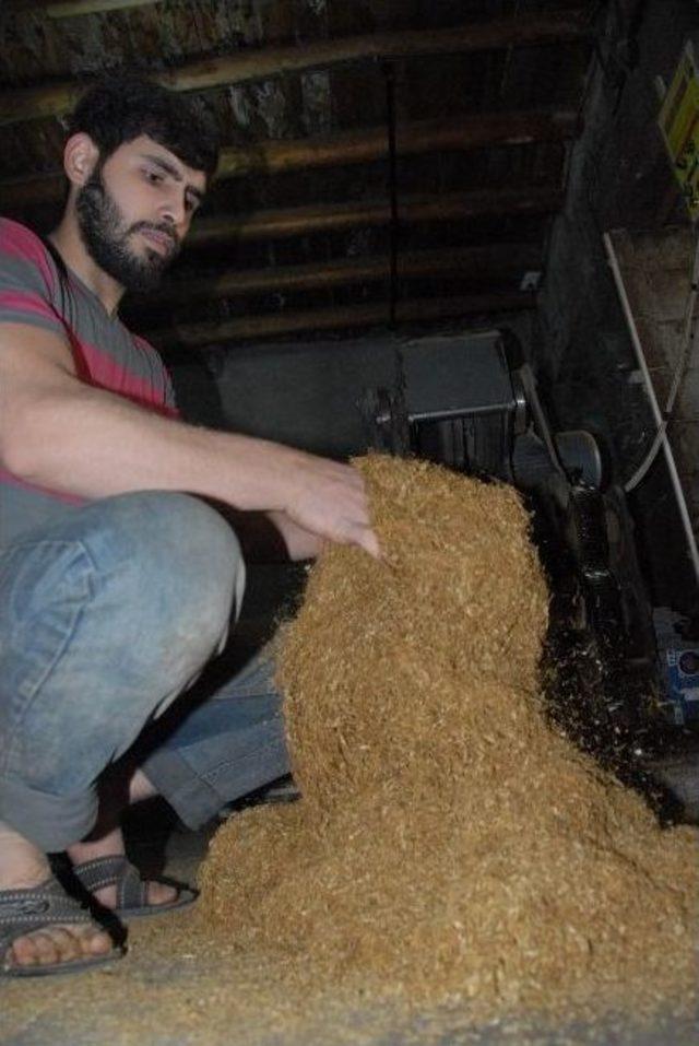 Ekmek Paraları Uğruna Hem Kendi Hem De Başkalarının Hayatlarını Zehirliyorlar 2