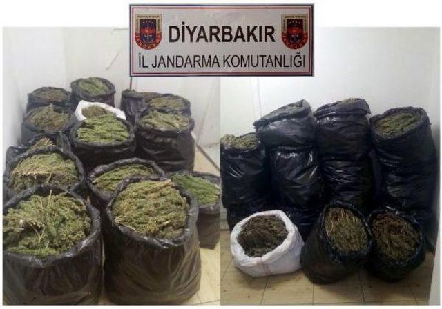 Diyarbakır da 354 Kilo Esrar Ele Ge&ccedil;irildi 2