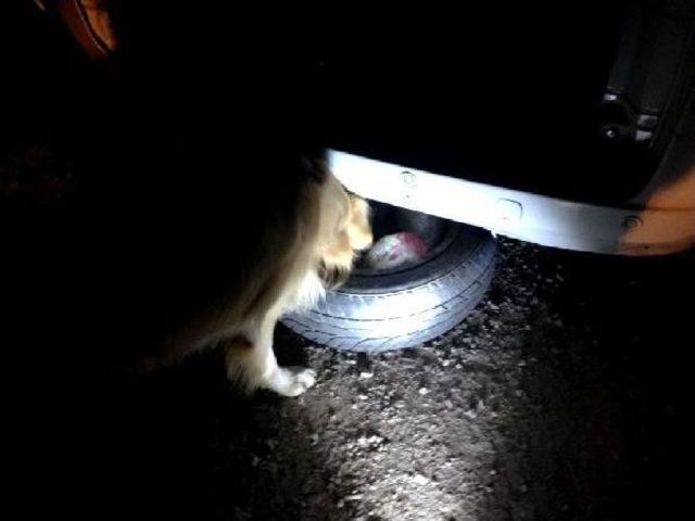 Diyarbakır da 354 Kilo Esrar Ele Ge&ccedil;irildi 3