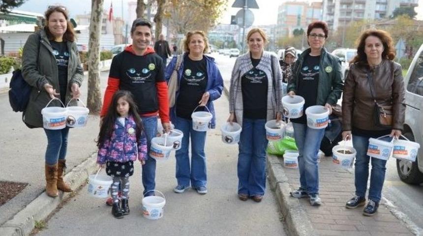 Nil&uuml;fer&rsquo;de Sokak Hayvanları Unutulmuyor