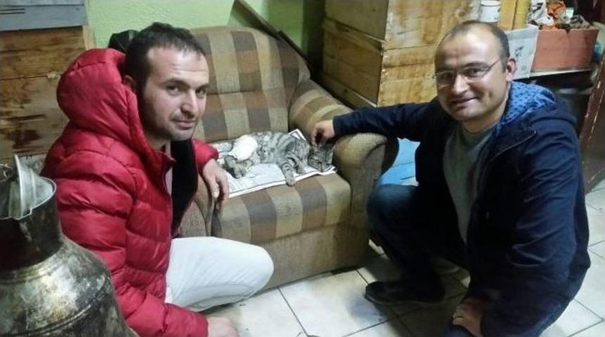Bacağı Kırılan Sokak Kedisi İ&ccedil;in Seferber Oldular