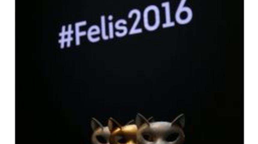 Mediacat Felis 2016 &Ouml;d&uuml;lleri&rsquo;nde Didi&rsquo;ye &Uuml;&ccedil; &Ouml;d&uuml;l