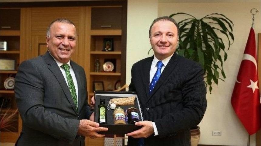 Matso Turizm Fak&uuml;ltesi 10 Aralık&rsquo;ta A&ccedil;ılıyor