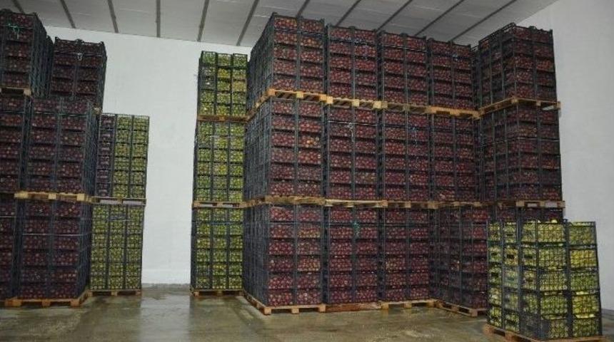 Elma Depoda Alıcı Bekliyor