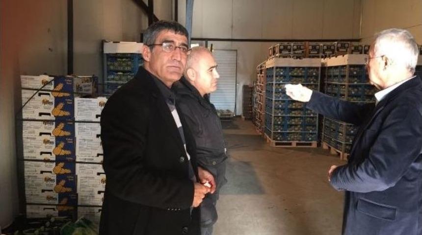 B&uuml;kreş Hali Akhisar&rsquo;a İlham Verecek