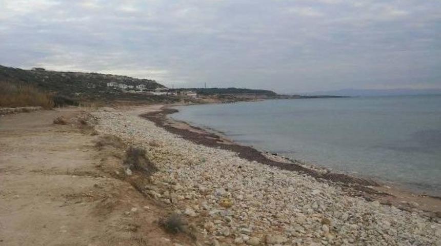 Bozcaada'da Bu Kez Sulubah&ccedil;e Koyu Ihale Ediliyor (2)