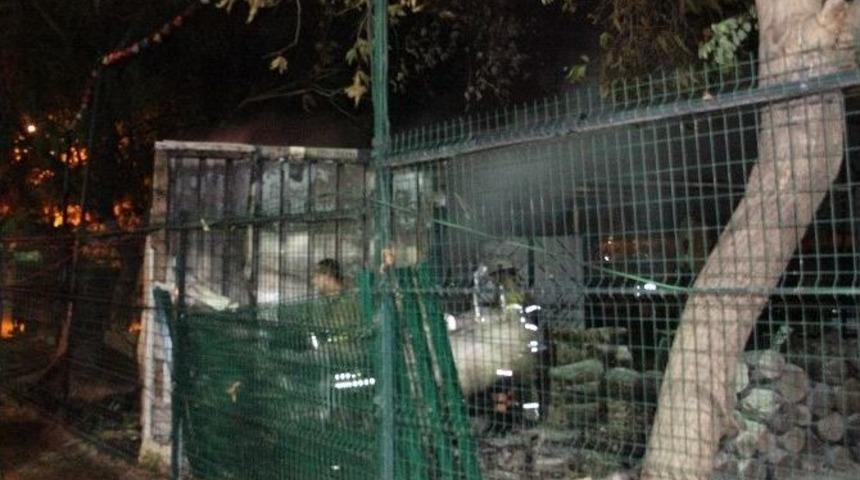 İzmir Enternasyonal Fuarında Korkutan Yangın