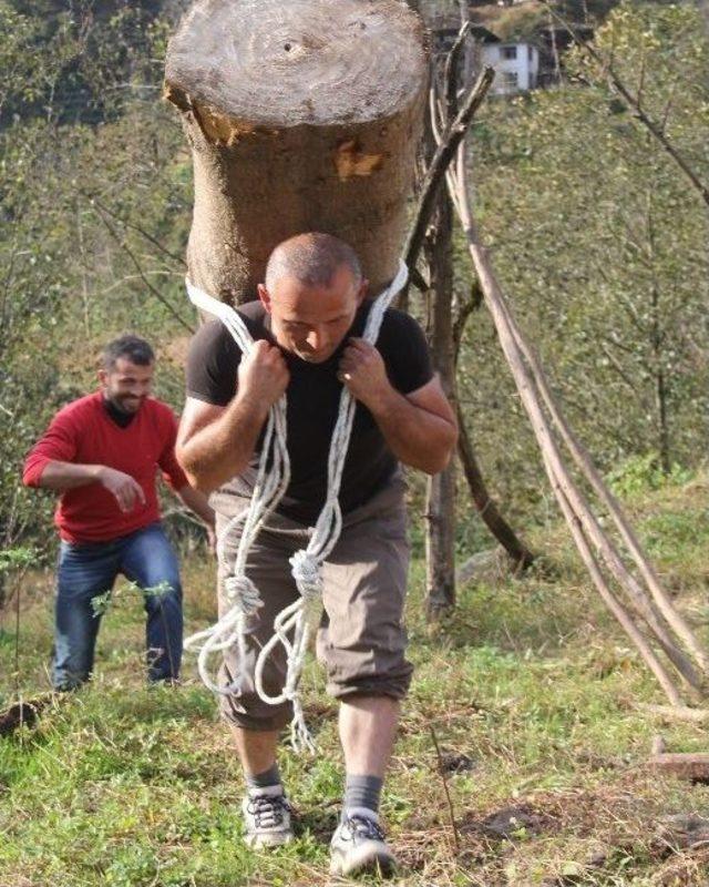 203 Kilogramlık Kütüğü Sırtında Taşıdı