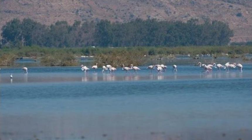 Gen&ccedil; G&ouml;zlemciler Bafa G&ouml;l&uuml;&rsquo;ndeki Kuşları Fotoğrafladı