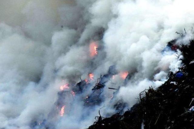 Çöplük Yangını Bodrum'u Dumana Boğdu