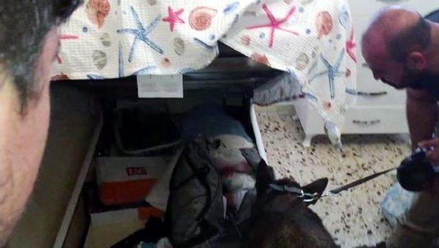  macro  Uyuşturucu Aramasında Kalaşnikof Buldu 3