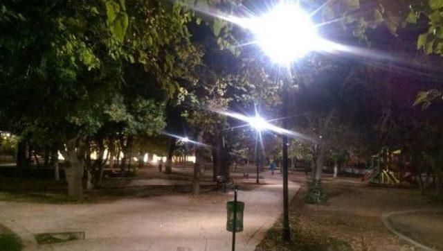 Belediyeye Kayyumun Atanmasınan Ardından Nusaybin’De Parklar Aydınlandı 1