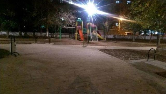 Belediyeye Kayyumun Atanmasınan Ardından Nusaybin’De Parklar Aydınlandı 3