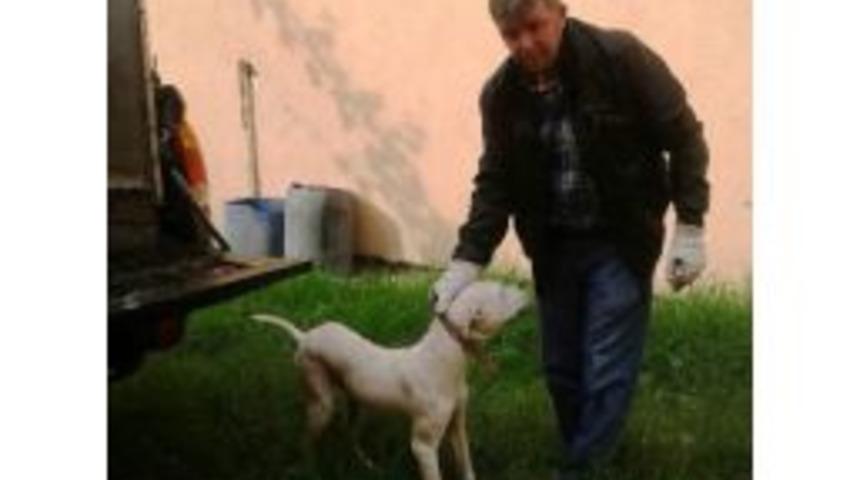 Beslenmesi Yasak K&ouml;peklere El Konuldu